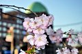 Fruehling2012   080